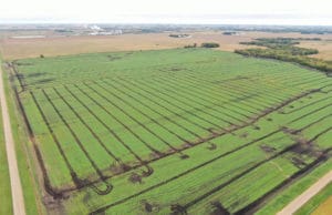 Aerial View Rural Mn Fields